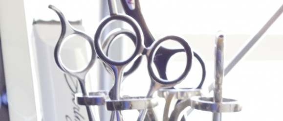 Straighteners
